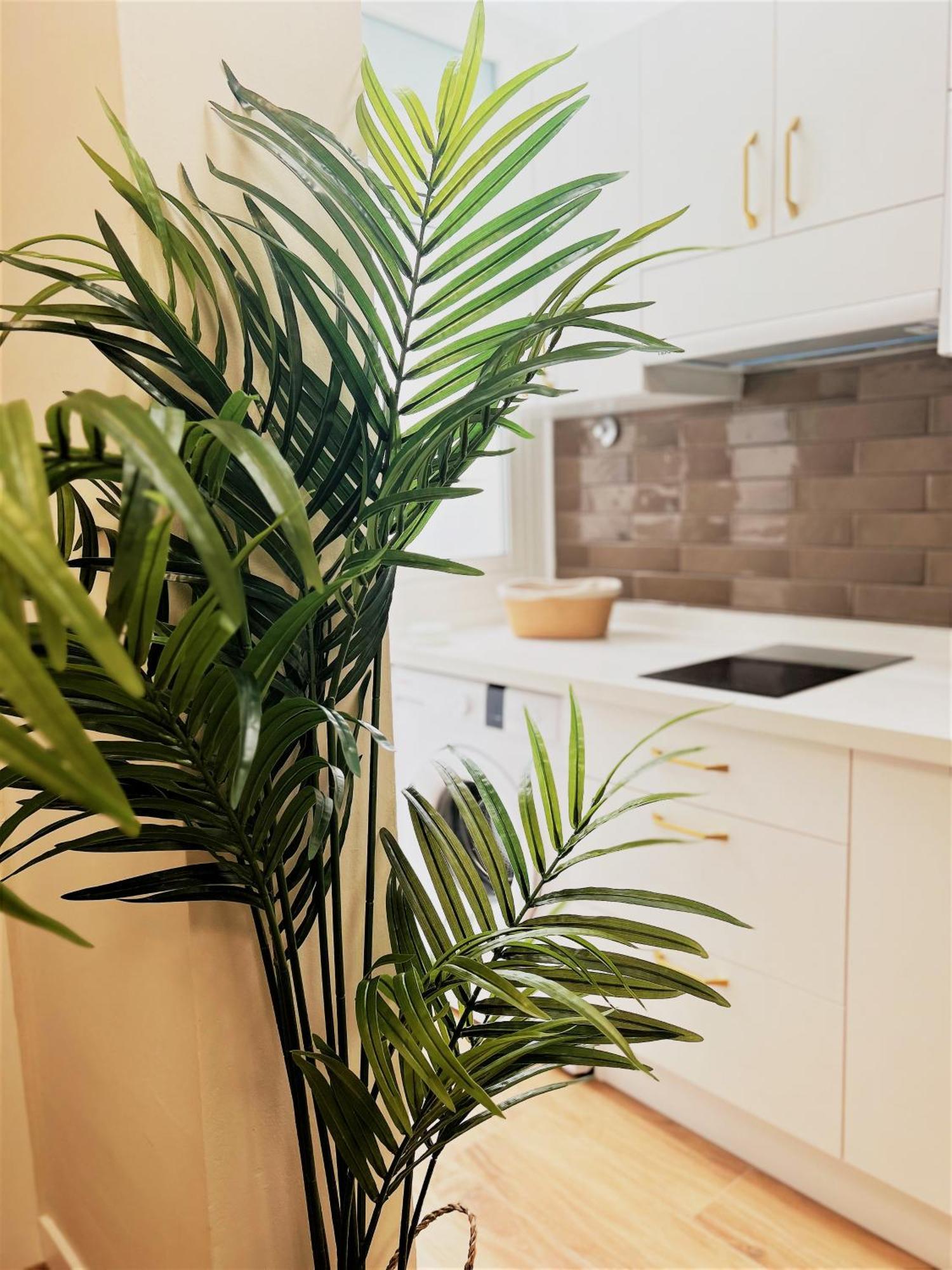 Apartamentos Pepita San Sebastián de la Gomera Kültér fotó